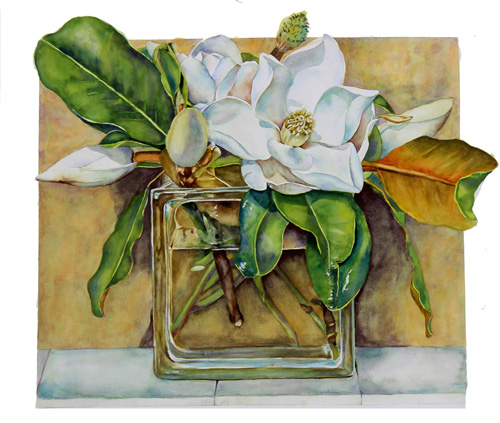 Magnolia Grandiflora watercolor by Sally Robertson